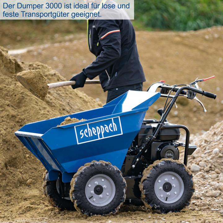 Actual product image Scheppach Dp3000