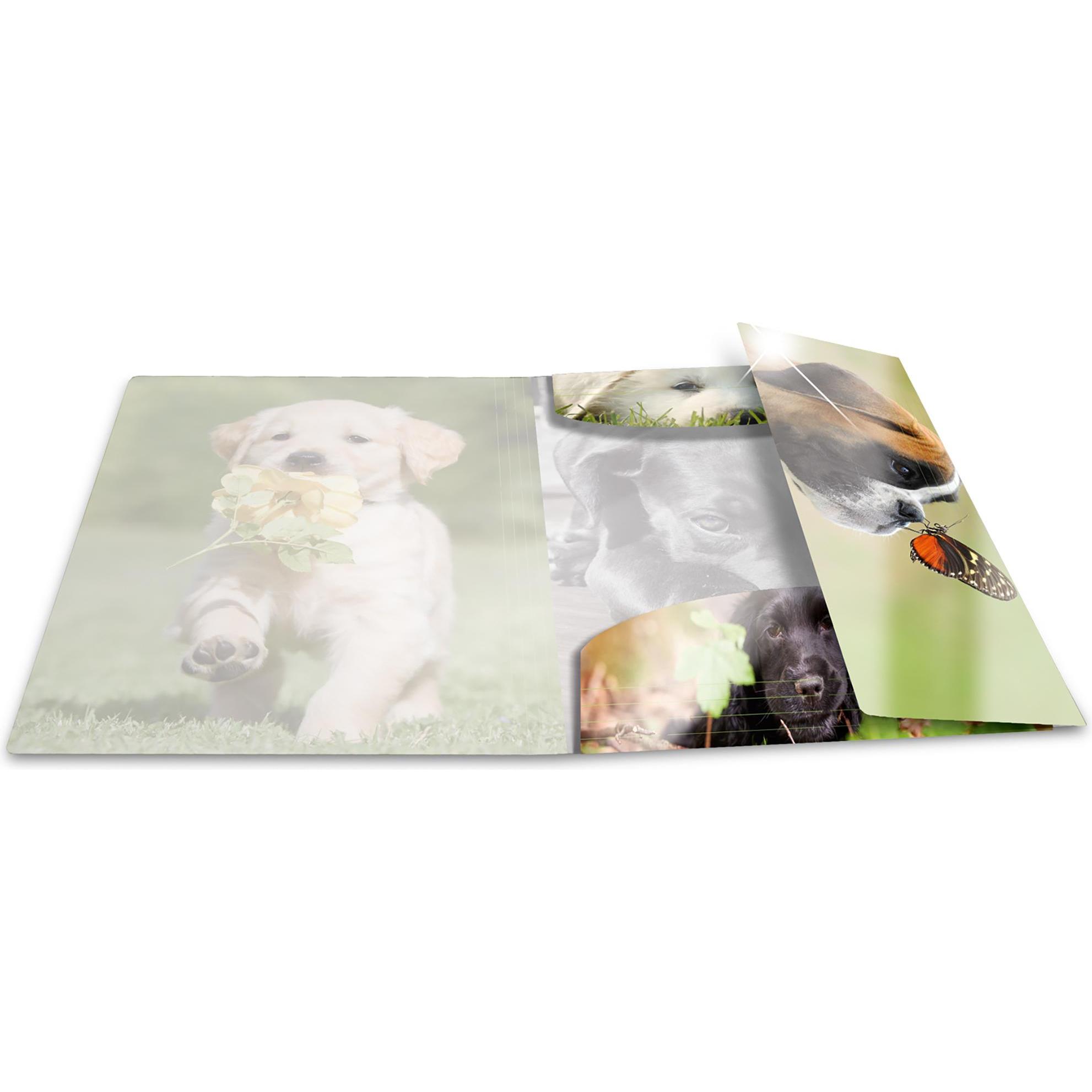 Thumbnail - Herma, Mappe, Eckspannermappe "Hunde", PP Glossy, DIN A3 Masse: (B)315 x (T)4 x (H)440 mm, mit 3 Innenklappen (A4, 1 x)