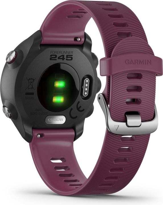Immagine prodotto Garmin Forerunner 245 (42.30 mm)