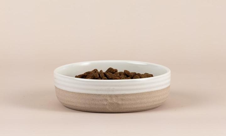 Actual product image Mason Cash Food bowl for pets with a heart paw
