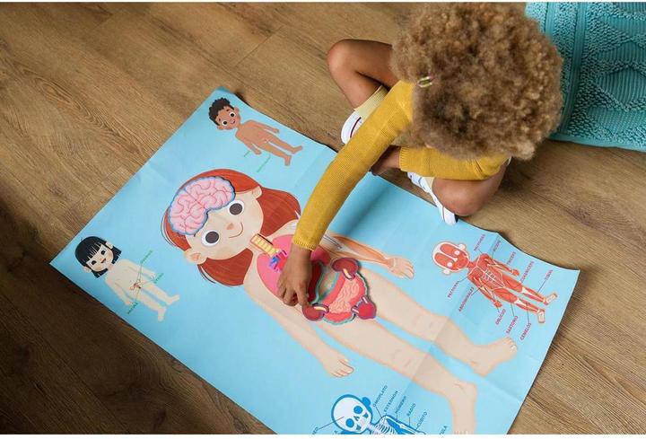 Actual product image Jumbo I learn to discover - Your body (German)