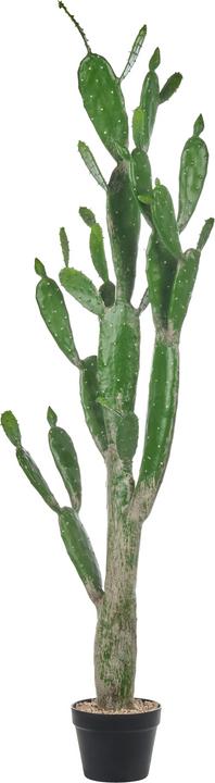 Beliani Opuntia Cactus (150 cm)