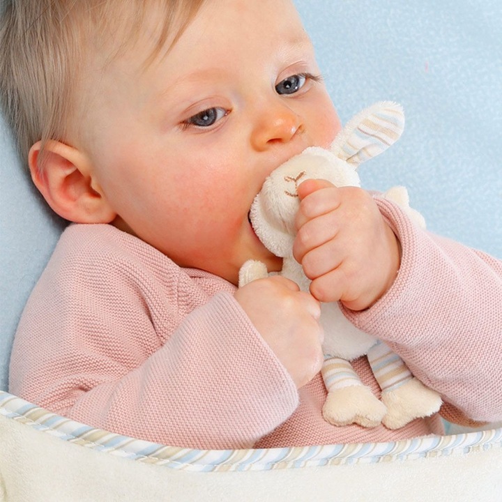Actual product image Fehn Cuddleblanket sheep (100 x 75 cm)