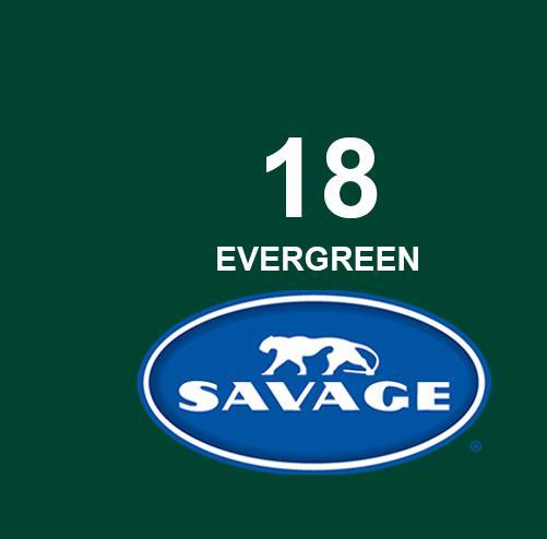 Actual product image Savage Hintergrund Papier 2.72 x 11m Evergreen (272 cm, 1100 cm)