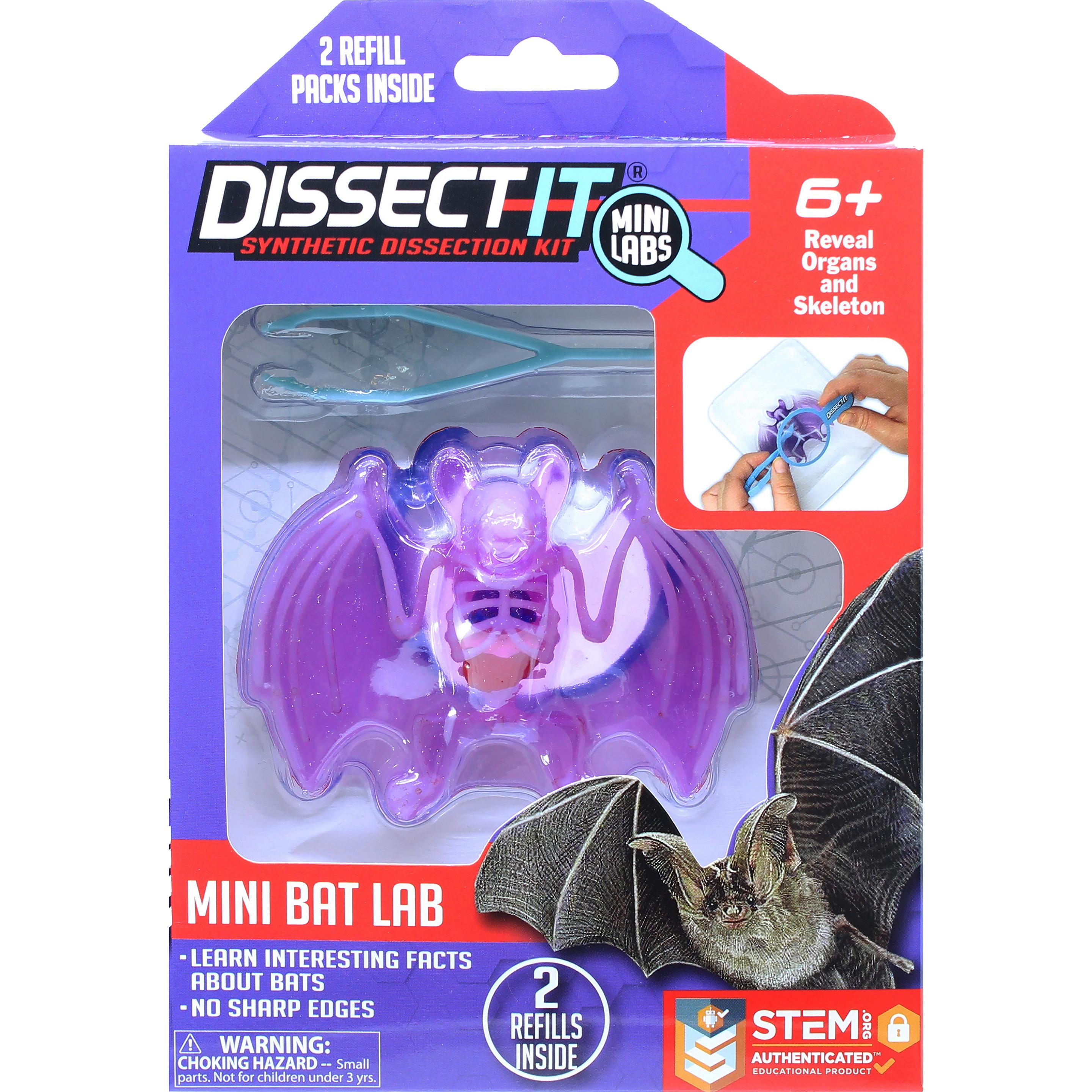 Sensory Compunds Sensory Compounds - Bat In Giftbox (12-38087)