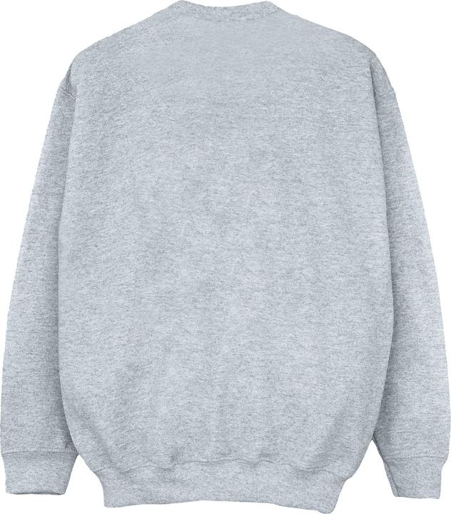 Image du produit Disney - Sweat CARS RADIATOR SPRINGS GROUP - Homme (L)