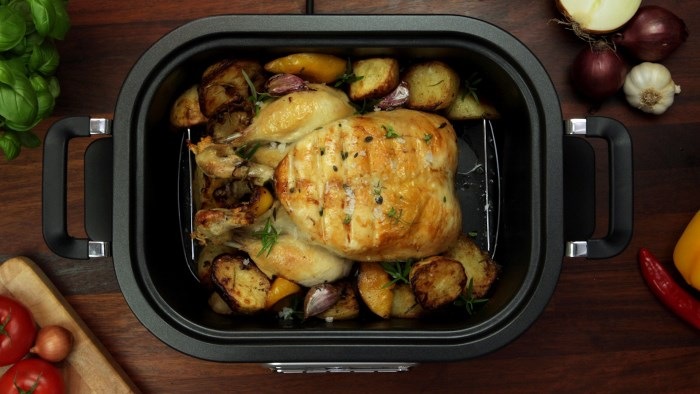 Actual product image Crockpot Multi-Cooker CSC024X