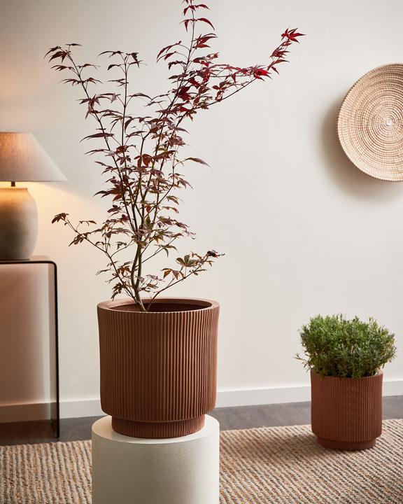 Produktbild Beliani Daria