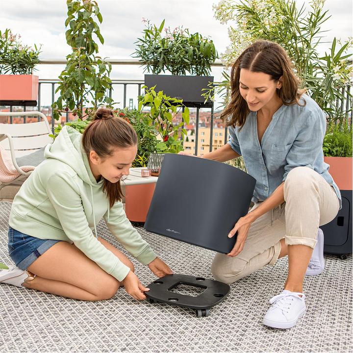 Actual product image Lechuza Rolluntersetzer zu PILA Modulen