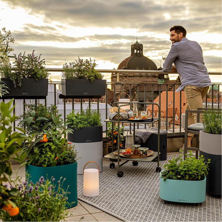 Actual product image Lechuza Rolluntersetzer zu PILA Modulen