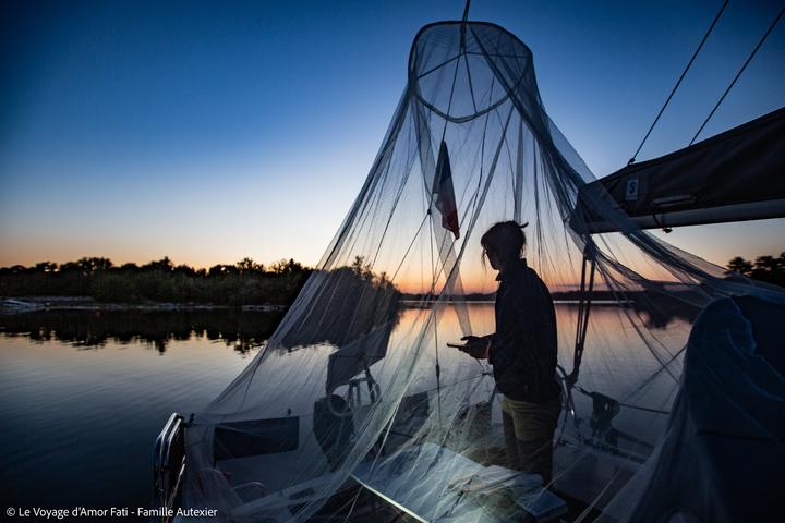 Produktbild Totem Pharmavoyage TotemBaldachin