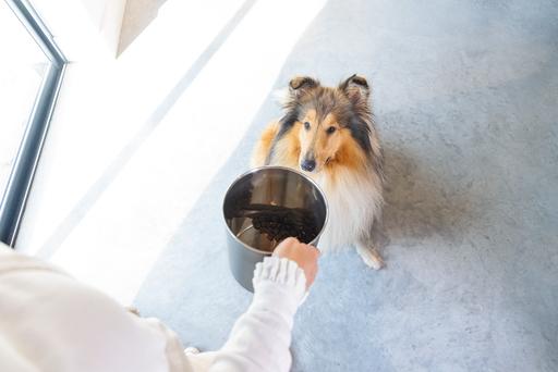 Image du produit Designed by Lotte Conteneur d'aliments pour animaux Canisto