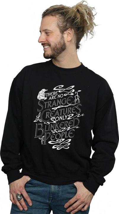 Produktbild Fantastic Beasts Strange Creatures Sweatshirt (L)