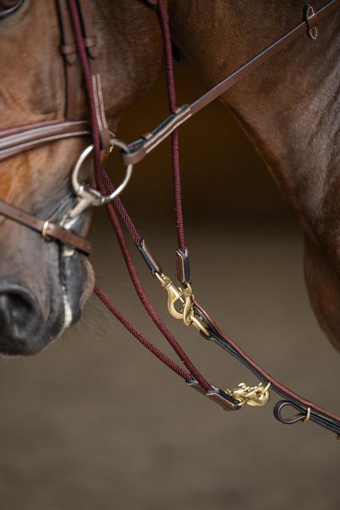 Image du produit HFI Master Gogue pour cheval