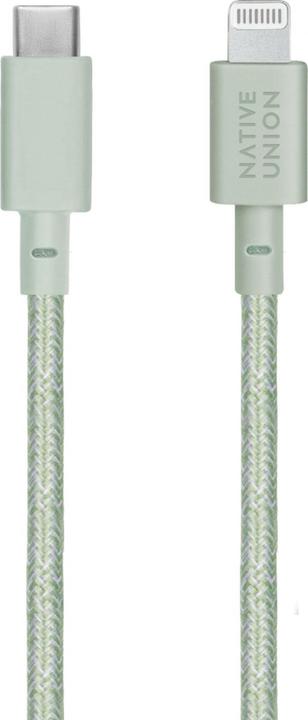 Actual product image Native Union Belt Cable (1.20 m, USB 3.2 Gen 1)