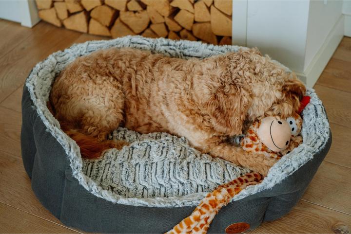 Actual product image Nobby Comfort bed oval CACHO (Dog)