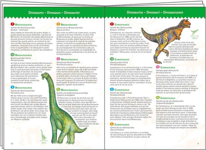 Actual product image Djeco Puzzle dinosaur 100 pieces (incl. booklet) (100 pieces)