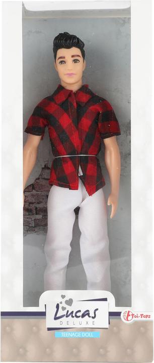 Actual product image Toi-Toys LUCAS Tienerpop man casual -vriend van Lauren
