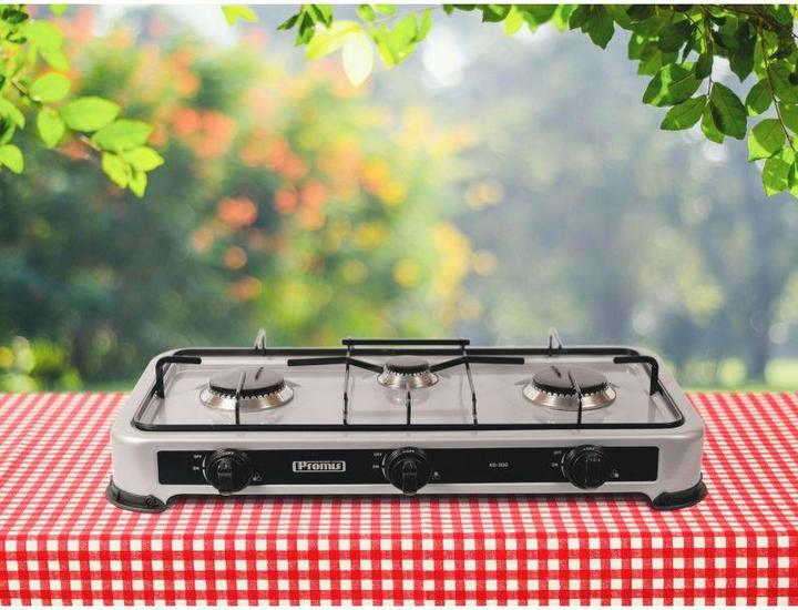 Actual product image Promis KG300