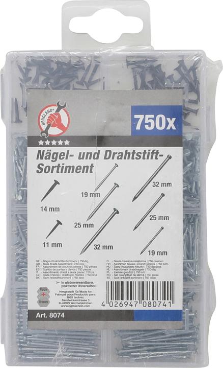 Immagine prodotto BGS Assortimento chiodi a testa piana 750 pz. (750 Pezzo/i, 32 mm)