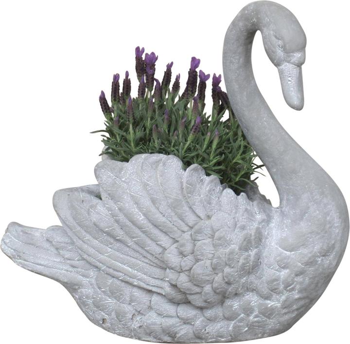 Produktbild Möbel Direkt Online Schwan