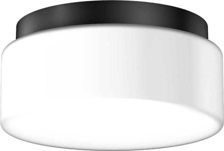 Actual product image RZB Opal glass lamp (570 lm, E27)