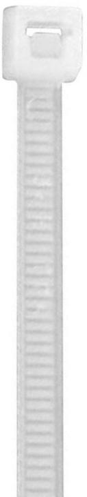 Actual product image HellermannTyton Cable tie (Plastic cable ties, 100 mm, 100 pcs.)