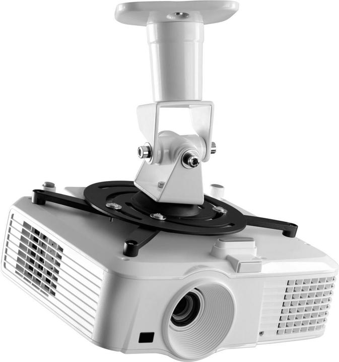 Produktbild One for All Solid WM5320 (Decke, Wand)