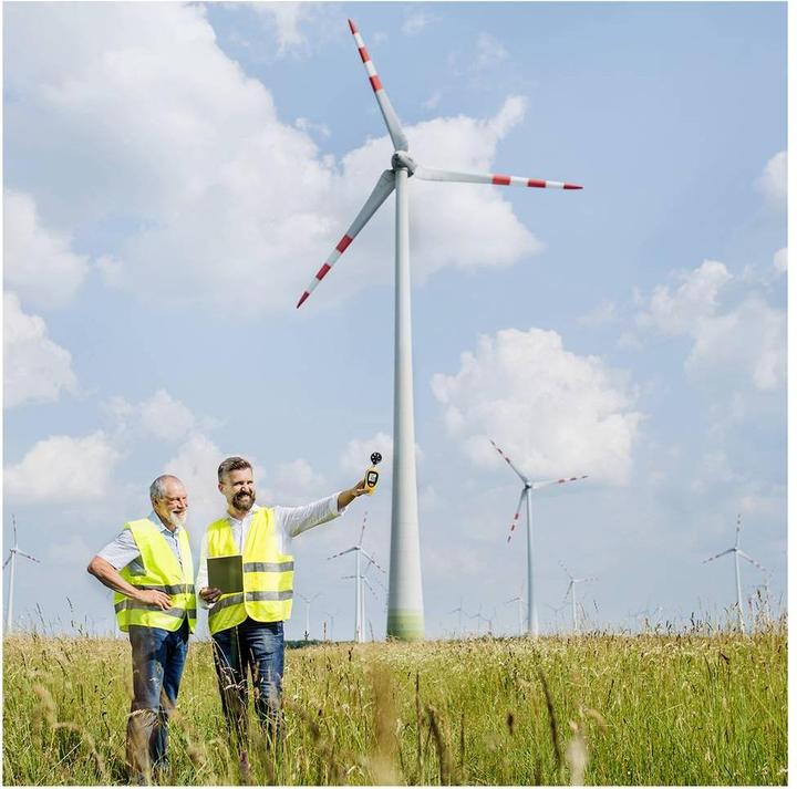 Actual product image TFA Wind Bee