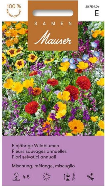 Samen Mauser Mélange de fleurs sauvages (Graines de plantes)