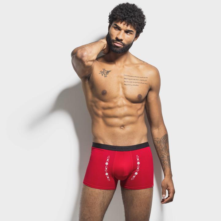 Produktbild ISA Bodywear Panty Andy (XXL, Einzelpack)