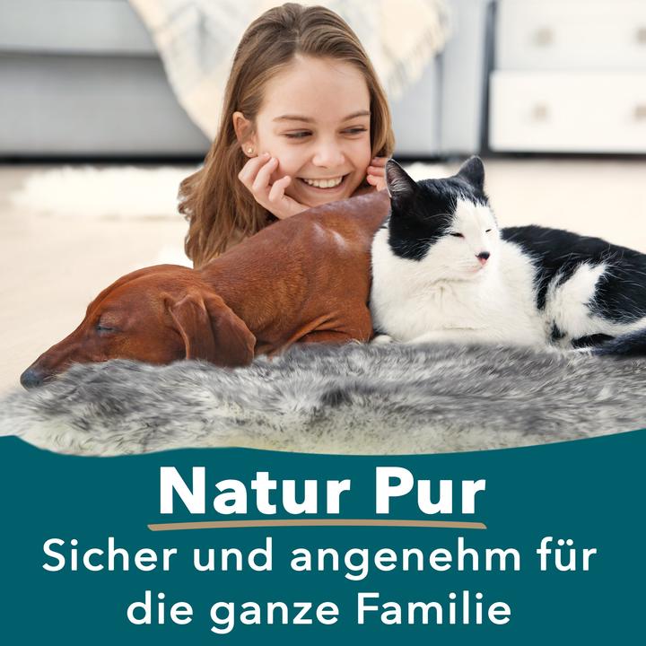 Produktbild Karat Audrey