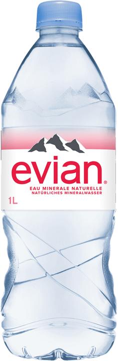 Evian Eau minérale (6 x 100 cl)