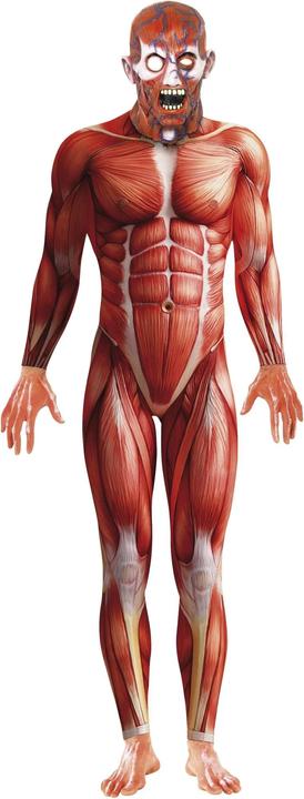 Immagine prodotto Smiffys Costume Anatomia Umana Uomo (L)