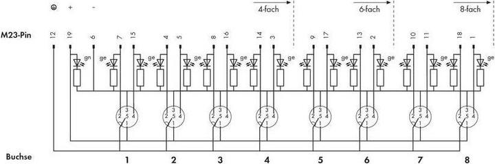 Produktbild Wago Sensor/Aktorbox passiv M12-Ver (Verteiler)