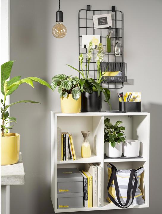 Produktbild Scheurich Blumentopf Ebano 16 cm, Schwarz (17.60 x 17.60 x 16 cm)
