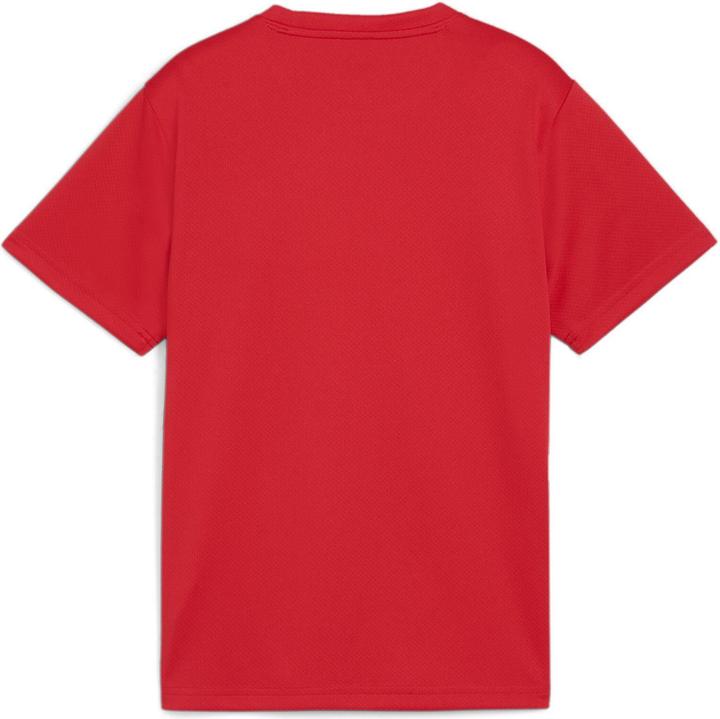 Immagine prodotto Puma Maglia TeamGOAL Jr (164)