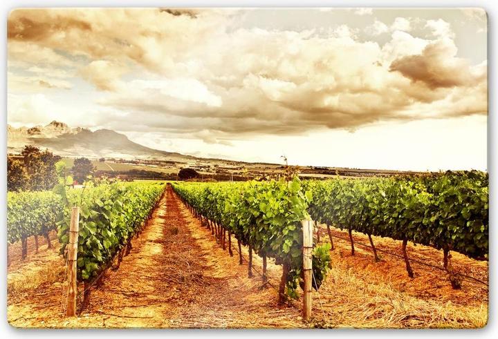 Immagine prodotto Trenddeko Viti in montagna (60 x 40 cm)