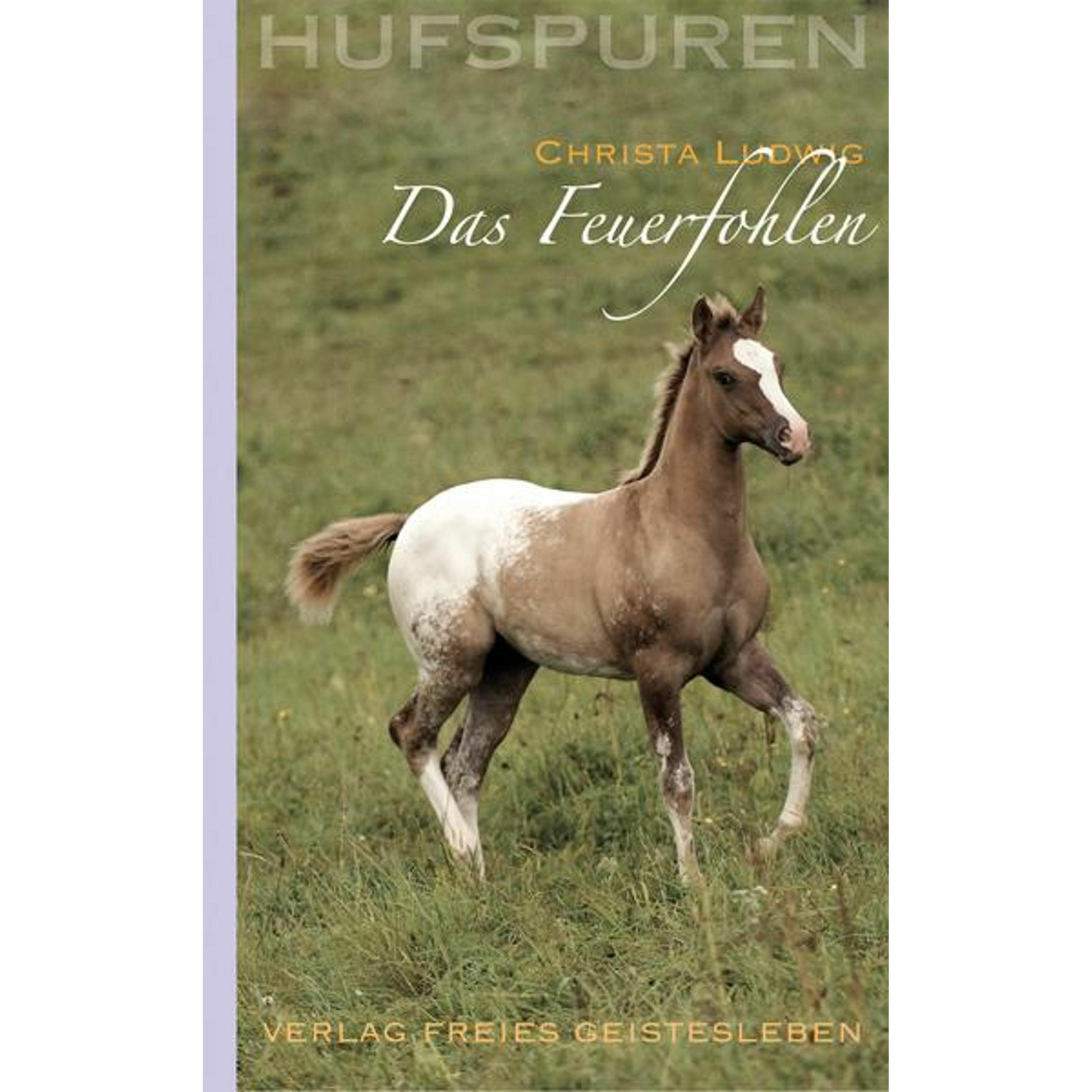 Hufspuren. Das Feuerfohlen, Kinderbücher von Christa Ludwig