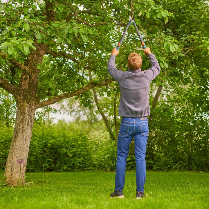 Image du produit Gardena TeleCut Pro S