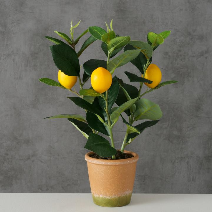 Actual product image Boltze Home Pot Plant Lemon 32cm indoor (32 cm)