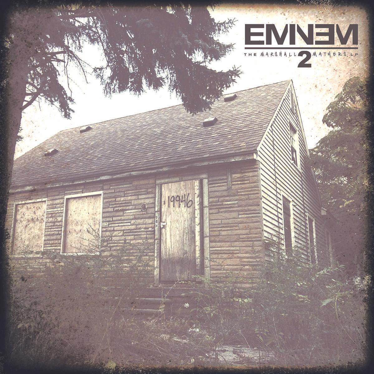 Il Marshall Mathers LP 2, Vinili