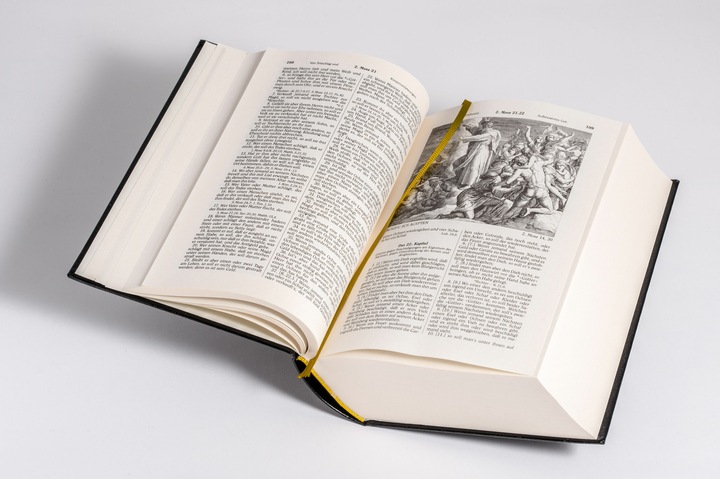 Produktbild Die Bibel - Altes und Neues Testament (Deutsch, Martin Luther, Julius Schnorr von Carolsfeld, 2024)