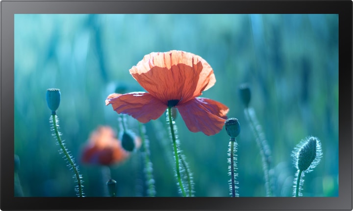 Image du produit Samsung Touch Display QB13R-T (1920 x 1080 pixels, 13")