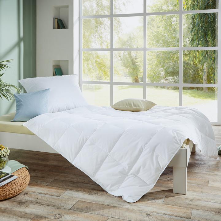 Image du produit Redbest Minneapolis (300 g, Duvet, 155 x 220 cm)