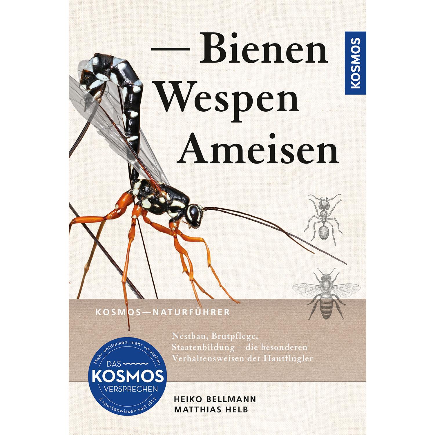 Bienen, Wespen, Ameisen, Ratgeber von Matthias Helb, Heiko Bellmann