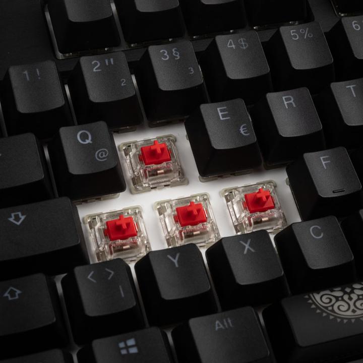Actual product image Ducky Shine 7 PBT (DE, Cable)