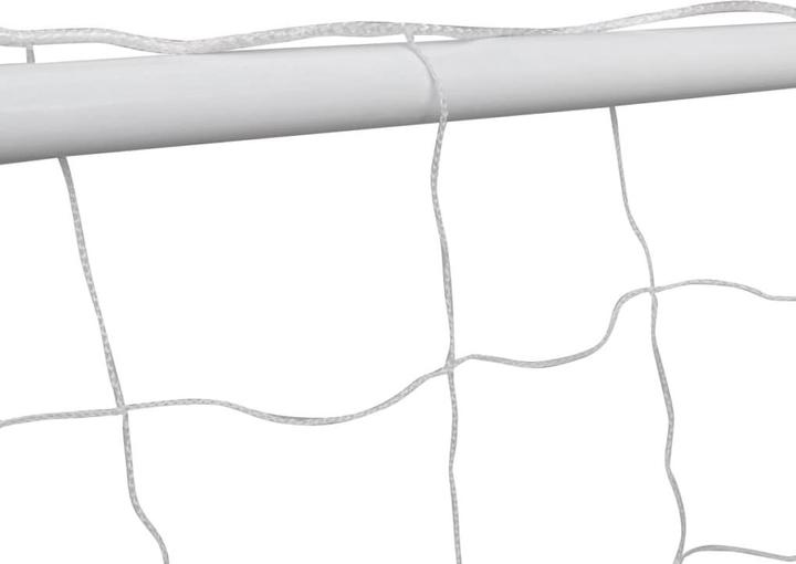 Actual product image vidaXL Football goal net