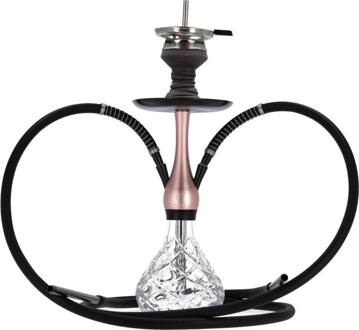 Azlan Dragon Sweet Champagne (50 cm)