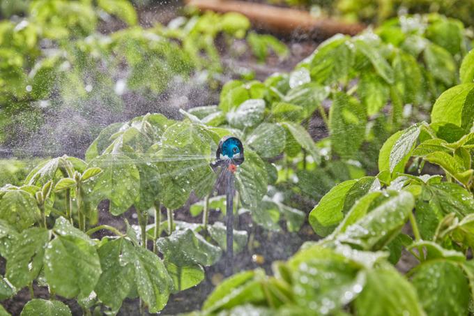 Actual product image Gardena Micro-Drip-System (Drip irrigation dripper)